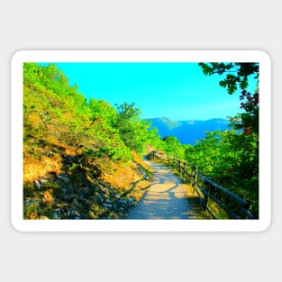 View at a mountain near Lago di Fiastra with juniper, oak tree, fenced path and Sibillini Sticker